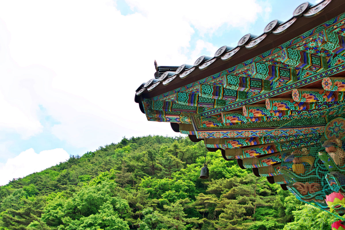 Dancheong painted eaves of a Korean temple in late-afternoon light