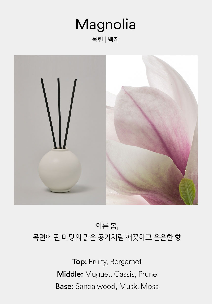 Moon Jar Diffuser Set – White Glaze Vessel, Reed Arrangement | PEUM Korean Houseware